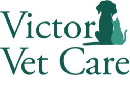 Victor Vet Care