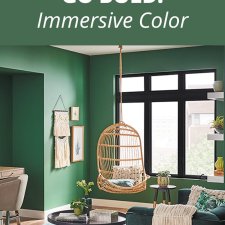 Immersive Color