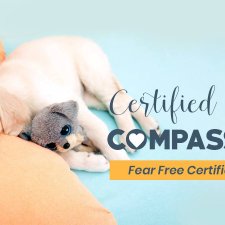 Fear Free Certified Practice