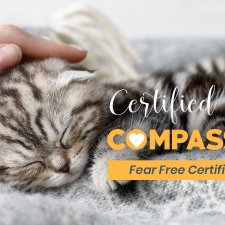 Fear Free Certified Practice